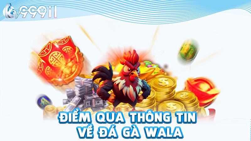 điểm qua thông tin về đá gà wala