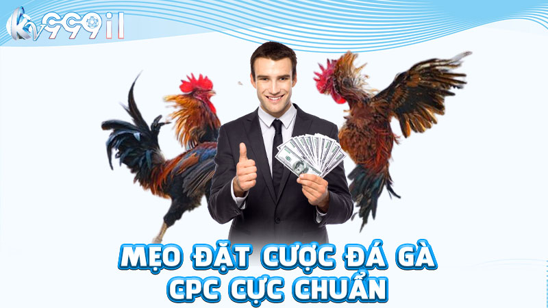 mẹo đặt cược đá gà cpc cực chuẩn