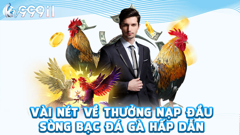 vài nét về thưởng nạp đầu sòng bạc đá gà hấp dẫn